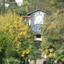 photo thumbnail