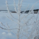 photo thumbnail