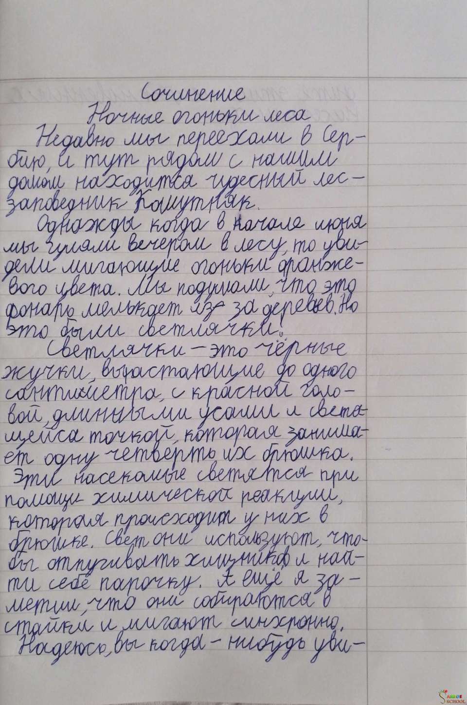 Ночные огоньки леса. Страница 1