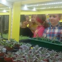как можно выращивать полезную микрозелень, в которой содержится больше полезных веществ, чем в обычных овощах. В конце курса выросла микрозелень из семян свёклы.