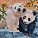 https://amigeschool.s3.amazonaws.com/images/groupphotos/17/4041/thumb_9853f0d97e77101654190e26.jpg