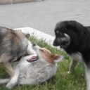 Ой - ой - ой!