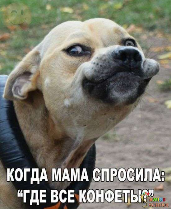кагда мама спросила  где все конфеты