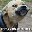 кагда мама спросила  где все конфеты